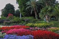 Wonderful bright flowerbeds Royalty Free Stock Photo