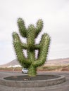 Wonderful Cactus Near The Entrance In Cueva De Los Verdes. June 30, 2011. Costa Teguise Lanzarote Canary Islands Spain Europe.