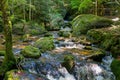 Wonderful calm and relaxing scenery: Beautiful Waterfall cascades in Ysperklamm in Lower Austria. Waldviertel. Nature and Holiday