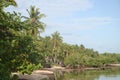 Wonderful Caribbean vegetation landscape