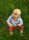 Wonderful child sitting on green grass