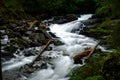 wonderful clear wild mountain creek in a forest Royalty Free Stock Photo