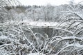 Wonderful cold morning by the Dubysa river in Lithuania Royalty Free Stock Photo