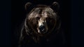 wonderful colored frontal portrait of a bear like male grizzly in front of a dark background