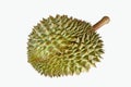 Wonderful and dangerous thorns of green durian skin Royalty Free Stock Photo