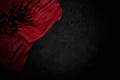 wonderful dark illustration of Albania flag with large folds on black stone with free place for your content - any feast flag 3d