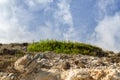 Wonderful dune landscape Cala Mesquida Mallorca Spain