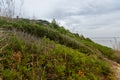 Wonderful dune landscape Cala Mesquida Mallorca Spain