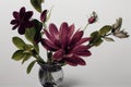 Wonderful elegance flower bouquet in vase isolated on soft light background. Generative AI