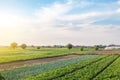 Wonderful european summer countryside landscape of farm fields. Agroindustry and agribusiness. Aerial view of a beautiful