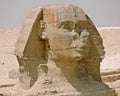 The wonderful face of the Great Sphinx of Giza.