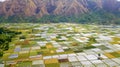 Wonderful farmland scenery at Sembalun Royalty Free Stock Photo