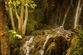 Wonderful fast little river in forest Royalty Free Stock Photo