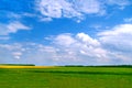 Wonderful field landscape