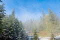 Wonderful foggy autumn forest with melting snow, sunrays a coming through the morning fog Royalty Free Stock Photo