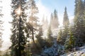 Wonderful foggy autumn forest with melting snow, sunrays a coming through the morning fog Royalty Free Stock Photo