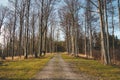 Wonderful forest path leading through beech forests from which the leaves fall during the autumn season. Beskydy mountains, Czech Royalty Free Stock Photo