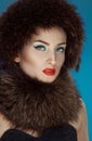 Wonderful girl in a fur hat and scurf