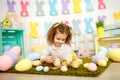 Wonderful girl with yellow ducklings on green Royalty Free Stock Photo