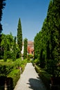 Wonderful Giusti garden Royalty Free Stock Photo