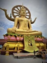 Wonderful golden buddha statue