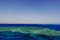 wonderful green coral reef with deep blue water and blue sky in marsa alam Royalty Free Stock Photo
