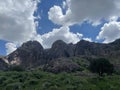 Wonderful green in the desert mountains