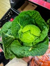 Wonderful Green Leafy Head of Cabbage