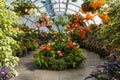 Wonderful greenhouse. Stunning flowers