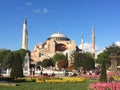 Wonderful hagia sophia and tulips in istambul