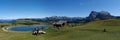 Wonderful idyllic alp scenry on alp de siusi in the dolomites