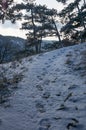 Wonderful and idyllic winter landscape in austria. lower austria. moedling.