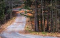 Wonderful Journey Leaf-Lined Road Through Forest Royalty Free Stock Photo