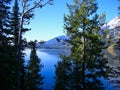 wonderful lake in the yellowstone park Royalty Free Stock Photo