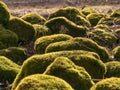 Wonderful landscape with bright green stones