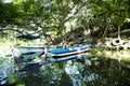 Wonderful landscape of coastline of lake Nicaragua