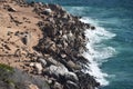 Wonderful landscape at the hiking trail at Robberg Nature Reserve in Plettenberg Bay, South Africa Royalty Free Stock Photo