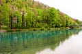 Wonderful landscape in Interlaken, Switzerland