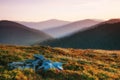 Wonderful landscape in the mountains at sunrise. Golden Hour morning light. Effect warm natural light. Royalty Free Stock Photo