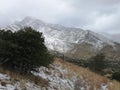 Wonderful landscape with mountains and a tree and snow Royalty Free Stock Photo