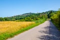 A road in the Spoleto plain in italian countryside with city of Assisi, Italy in background Royalty Free Stock Photo