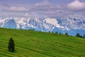 Wonderful landscape with rolling meadows, terraced fields and rocky hills in the foothills. Royalty Free Stock Photo