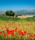 Wonderful landscape surrounding Alhama de Granada, Andalusia, Spain.