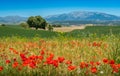 Wonderful landscape surrounding Alhama de Granada, Andalusia, Spain.