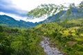 Wonderful landscape, view over an unspoiled rainforest: green trees, calm river, peaceful mountains mark the horizon. Wild nature