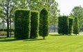 Wonderful landscape view with trimmed trees and formed shrubs, green lawn in city park `Krasnodar` or `Galitsky Park`