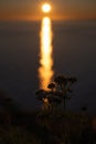 Nord-Norge. Beautiful scenery of a midnight sun sunset at Nordkapp (Cape North).