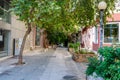 A wonderful little street is covered by a green canopy of trees