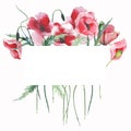 Wonderful lovely bright summer autumn herbal floral red poppies flowers with green leaves card watercolor hand