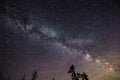 Milky way over forest Royalty Free Stock Photo